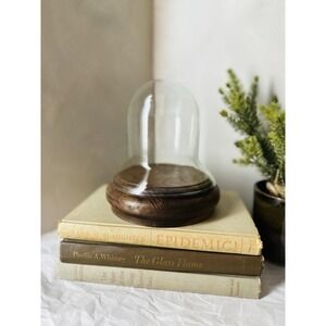 Vtg Medium Glass Cloche Dome Clear Display Cover